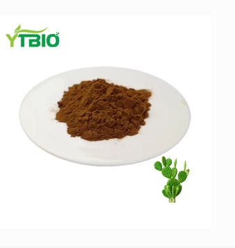 Cactus Extract Powder